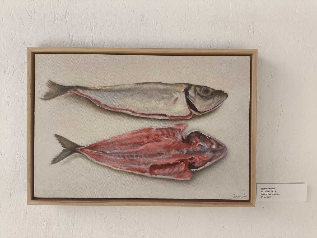6ª Bienal de Gaia — Obra 6