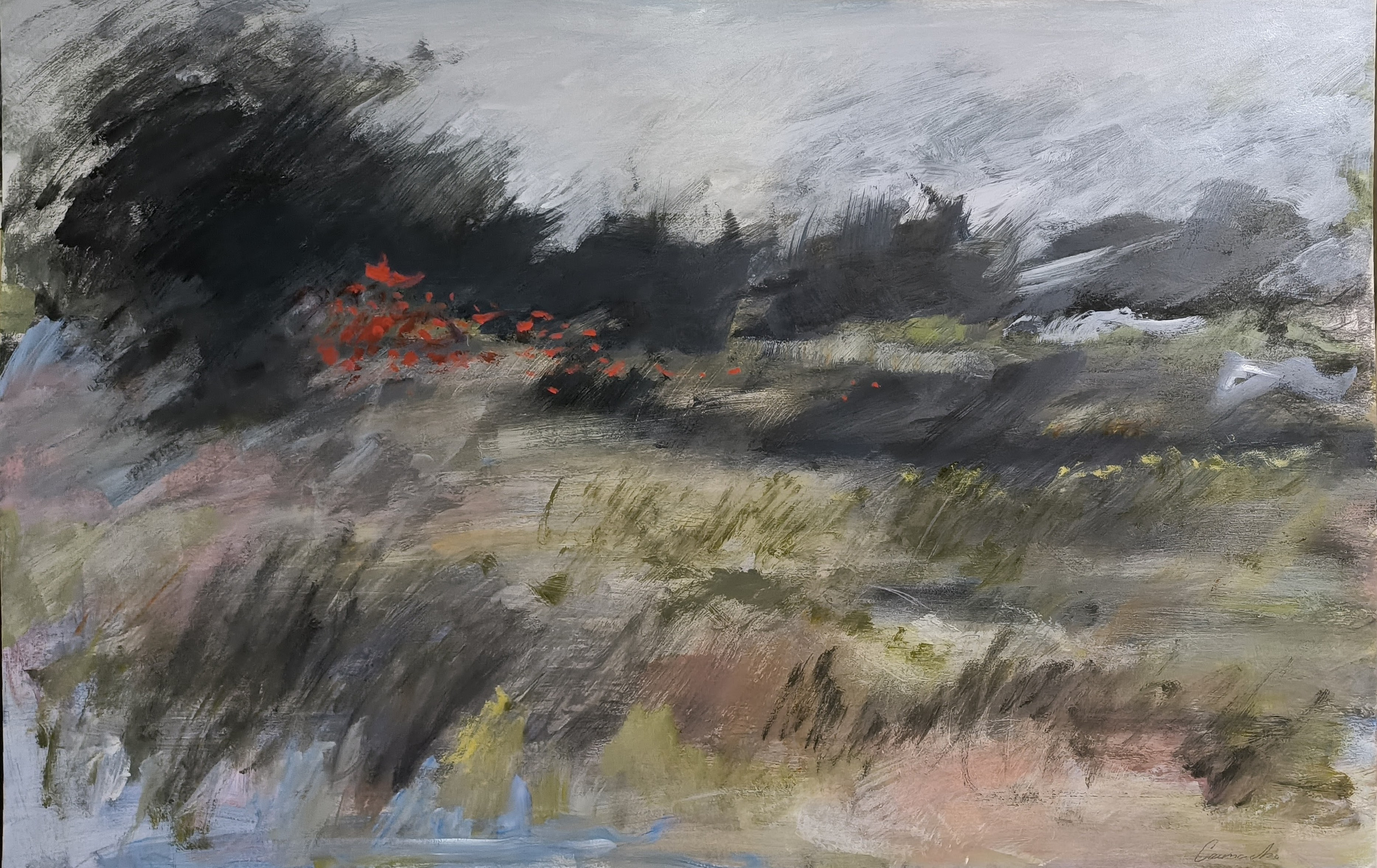 Obra de Juan Camacho