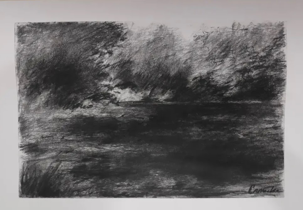 Obra 5