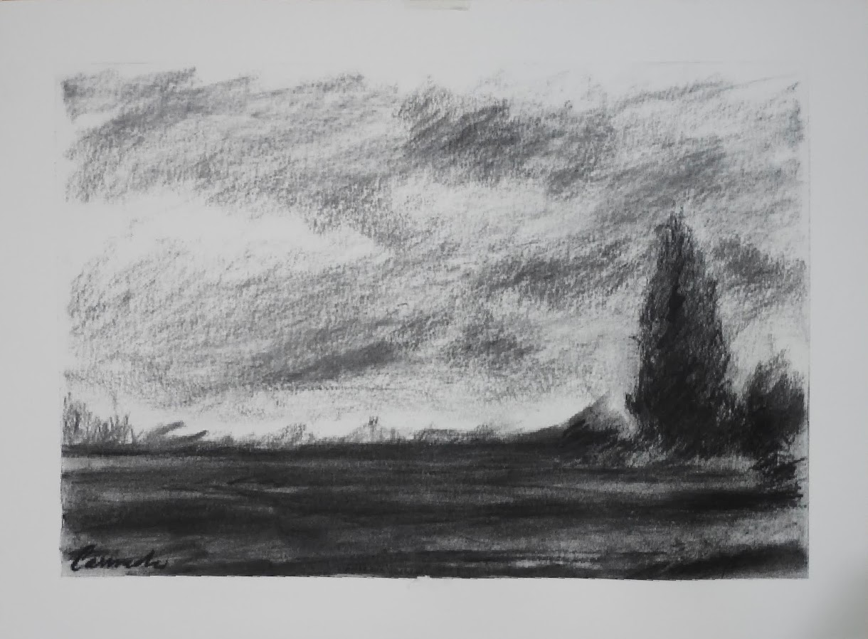 Obra 7