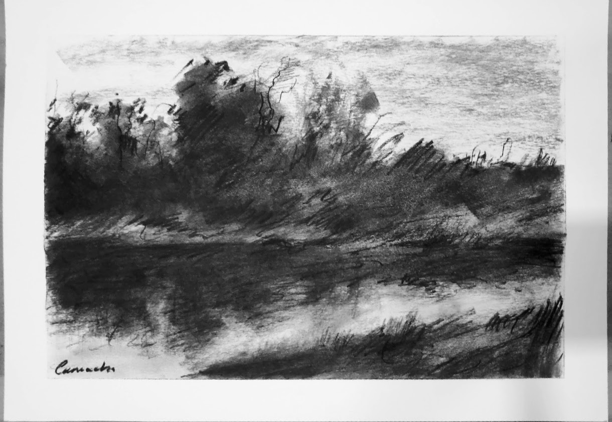 Obra 8